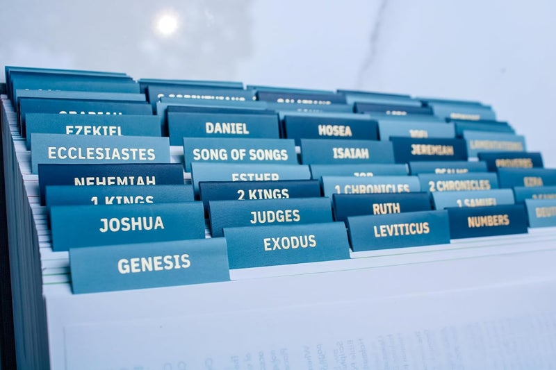 Daybreak 41 Decorative Bible Tabs for Women (96 Pieces) - Earth Tone Neutral Gold Foil Bible Tabs - Laminated Bible Labels Tabs – Remove & Replace Bible Index Tabs - Bible Study Supplies for Women (Seaside) - Image 5